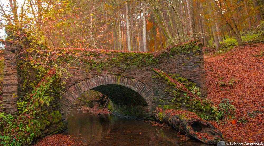 Geierlay - Die Hunsrück Hängebrücke in Mörsdorf 8